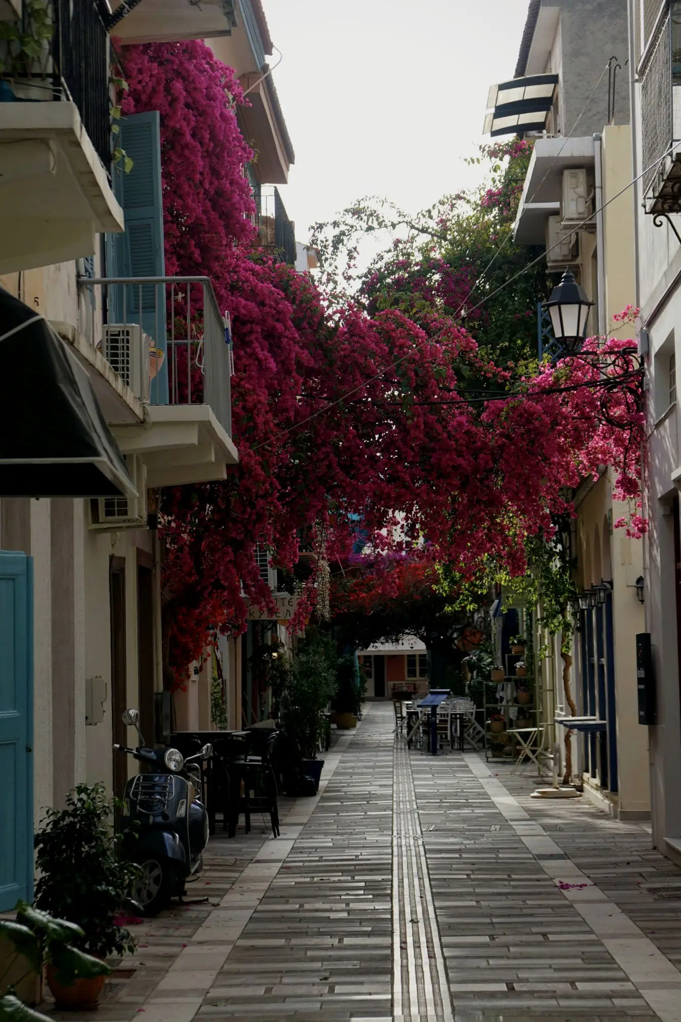 Pink bougainvillea over a paved street in the old town of Nafplio