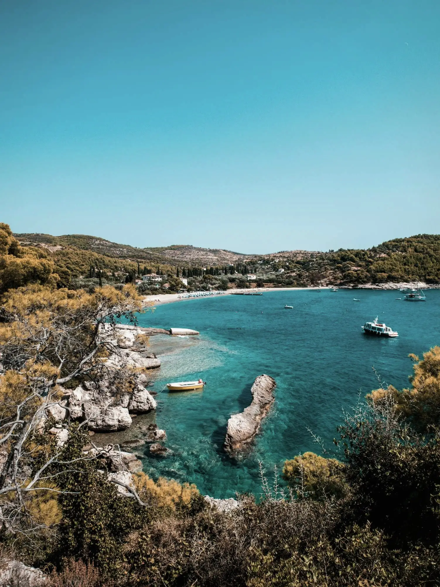 Pine-covered rocks above a turquoise cove